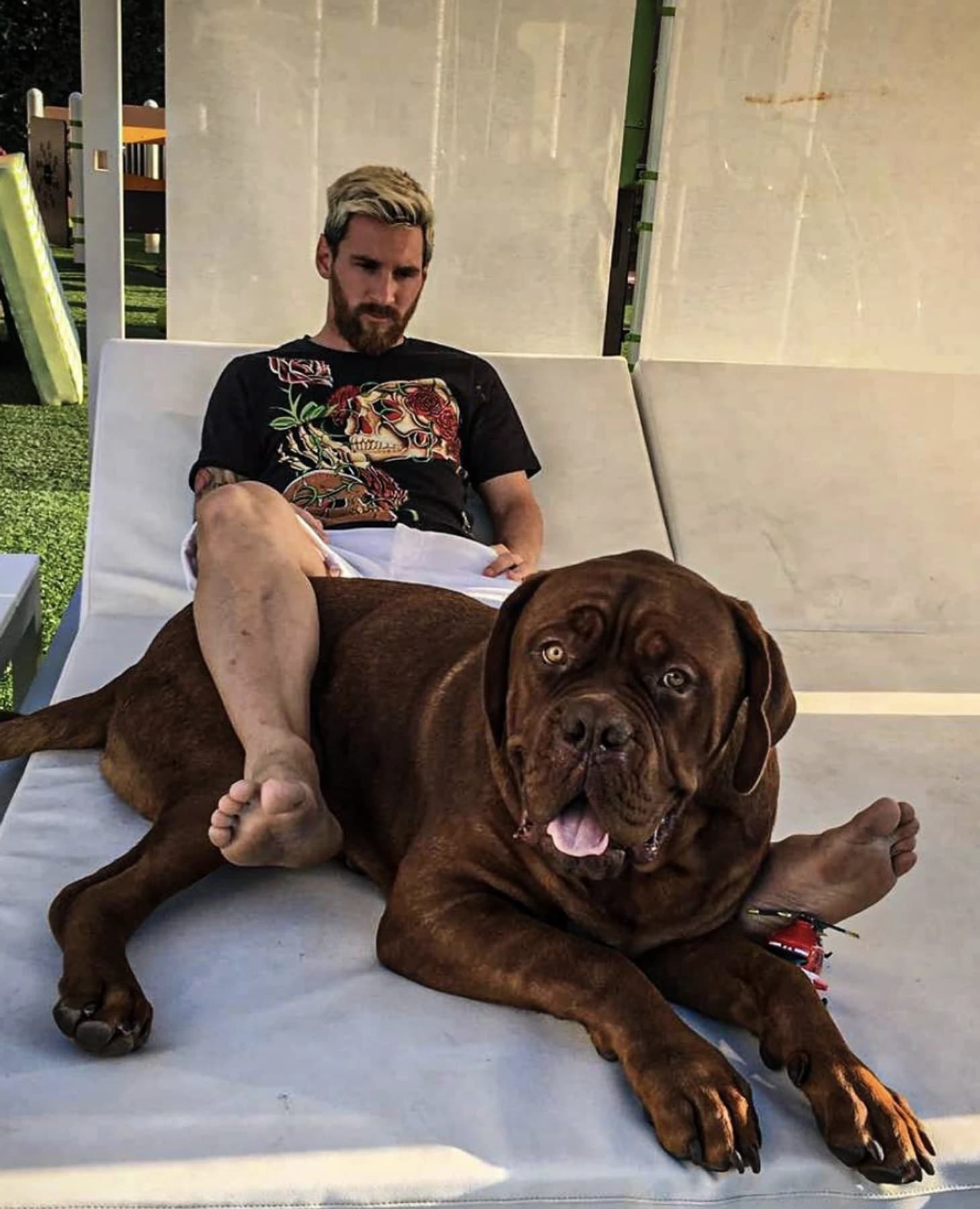 Soccer Stars With Pets: Adorable Cats, Dog Breeds, and Such Animals